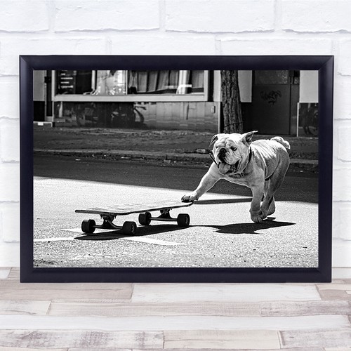 Dog animal street skateboard - dog,