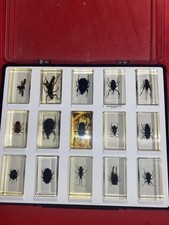 National Geographic Real life