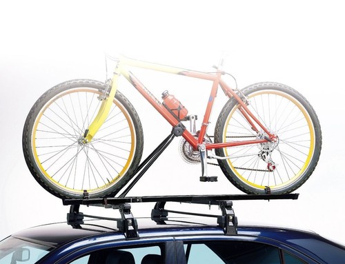 Roof mounted upright bicycle - roof,