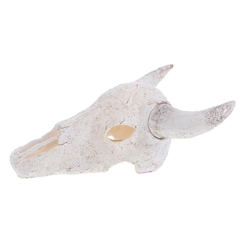 Bull cow skull - bull,