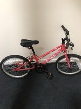 Apollo Envy Girls' 20-inch