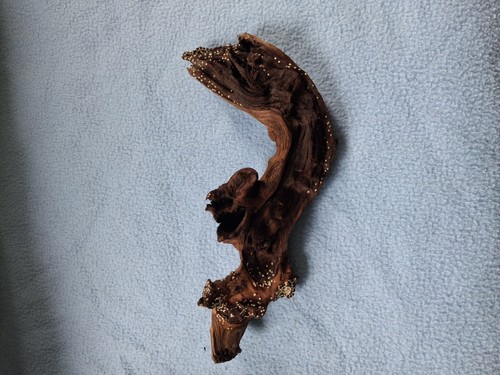 Used mopani wood approx - used,