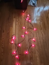 Vintage Chili Pepper String 20