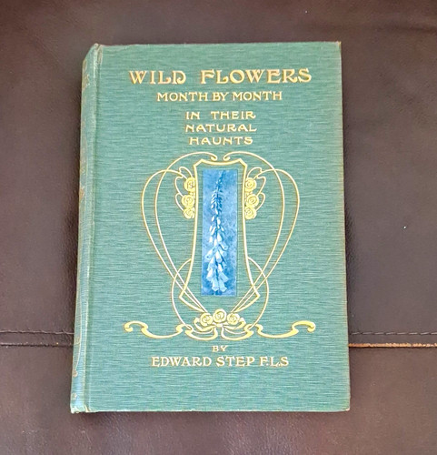 Edward step wild flowers - edward, month
