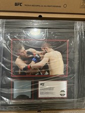 UFC 229 Fight-Used Octagon