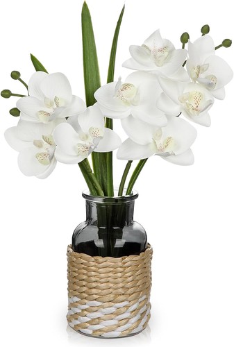 Fake orchid with - orchid,