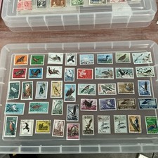 Thematic stamp collection  Birds (kk510)