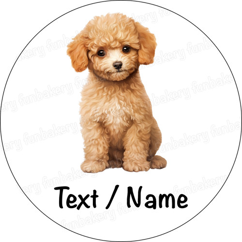 Poodle dog cake - poodle,