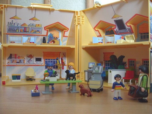 Playmobil 100 complete - 100%, set