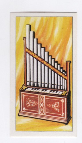 Anonymous musical instrument - musical,
