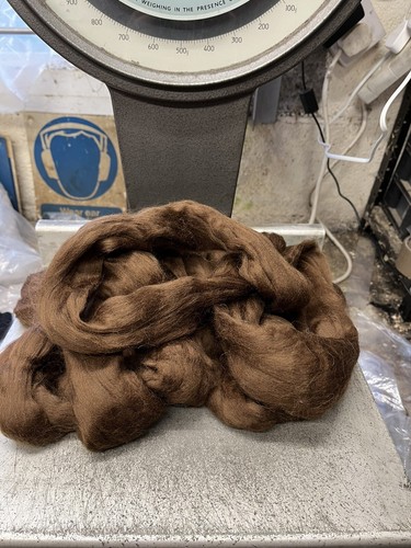Chocolate brown merino - merino, wool