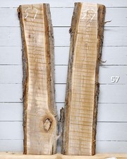 Elm Live Edge Timber x 2