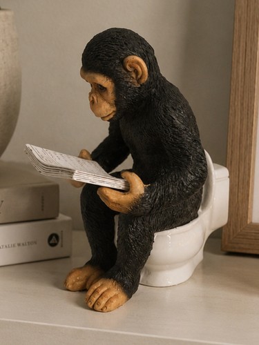 Loo time reading book monkey - reading,