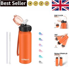Double Wall Insulated Water