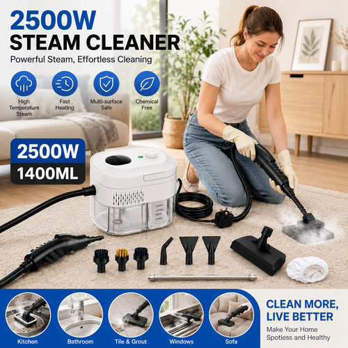 High pressure steam cleaner - high,