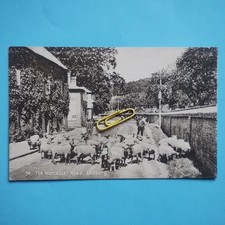 The Worcester Road, Ledbury -