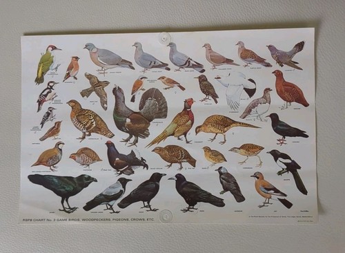 Rspb official educational - rspb,