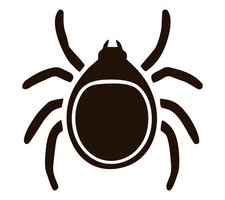 TICK VINYL DECAL STICKER
