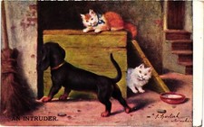 Dogs, Cats Hiding from a Dachshund, The Intruder, Vintage Postcard