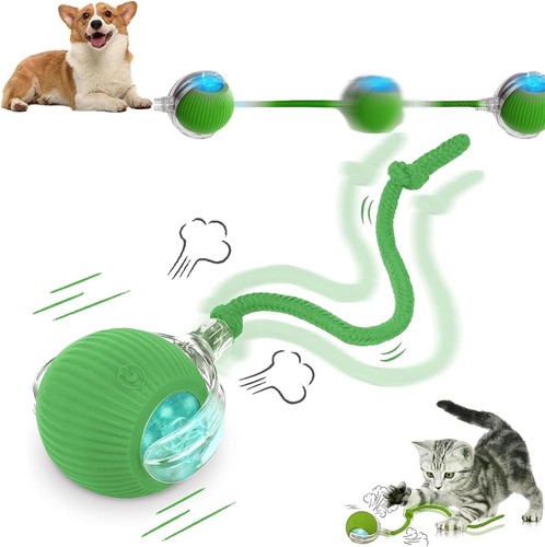 Rechargeable smart pet - rechargeable,