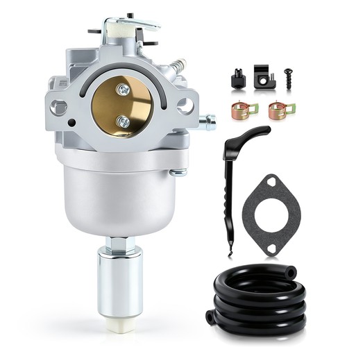 Carburetor set for 2010 troy - set,