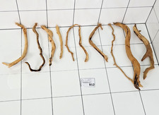Set of 10 Small Azalea Spider Wood Twigs Natural Fish Tank Decoration 812   170g