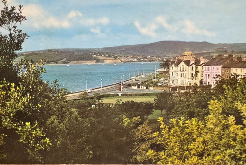 Vintage postcard exmouth - vintage,
