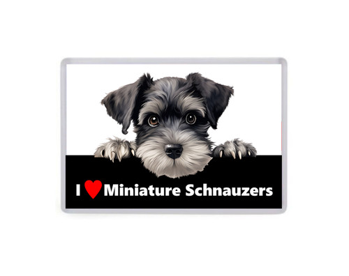 Love miniature schnauzers - love,