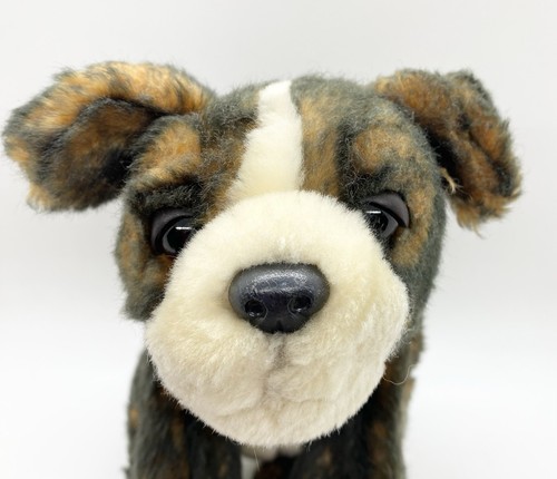Brindle boxer puppy - brindle, 8"