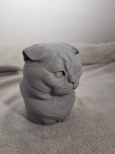 Scottish fold cat bust - scottish,