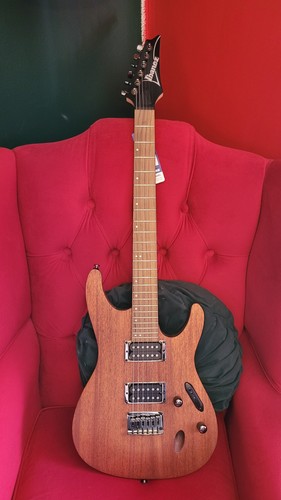 Ibanez s521mol electric - ibanez,
