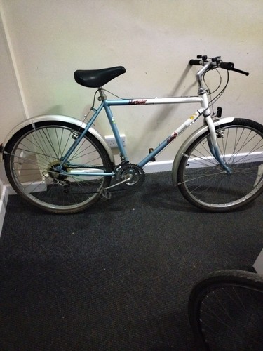 1980s vintage raleigh - 1980s,