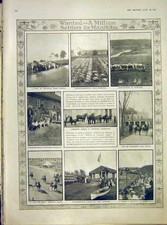Original Old Antique Print