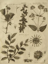 Andrew Bell (Scottish) 200