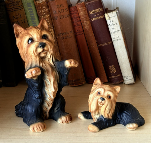 Ahh yorkshire terrier dog - yorkshire,