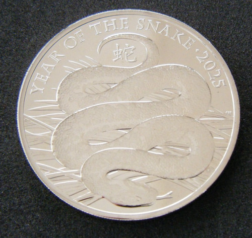 2025 lunar year the snake - year,