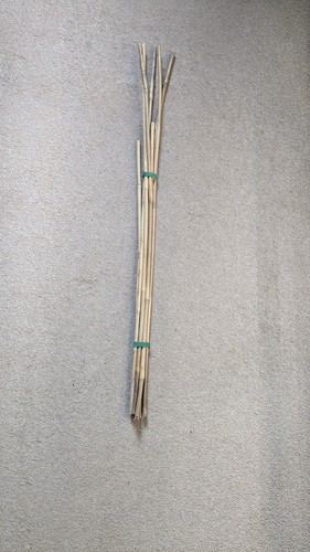 Pieces bamboo canes plant - bamboo,