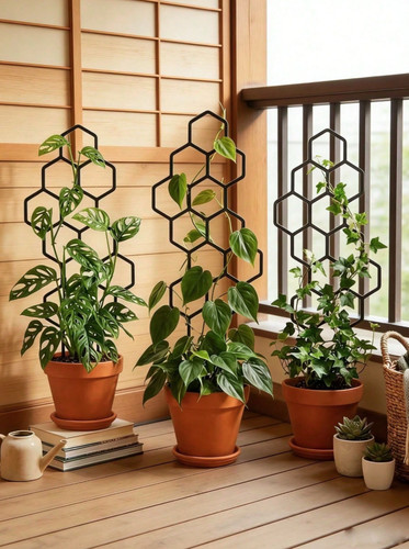 Pack honeycomb plant - honeycomb, trellis