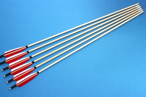 Traditional wooden arrows - 6,