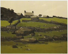 Farm at Deiniolen Kyffin Williams Wales print in 11 x 14 inch mount SUPERB