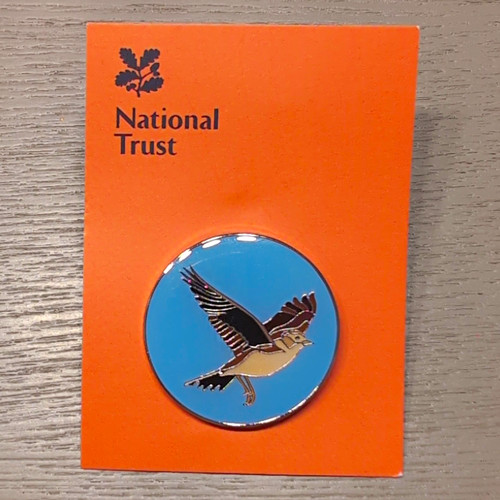 National trust kingston lacy - national,