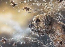 Border Terrier Christmas Cards pack of 10 'Frosty Border' by Paul Doyle C432x