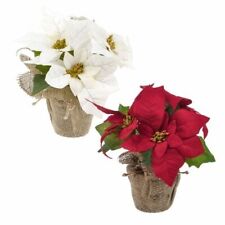 Christmas Poinsettia Grave Vase Inserts 2 Colours 24cm Memorial Tribute