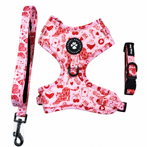 Dog harness collar - collar, and