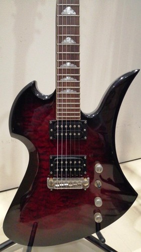 Rich mockingbird 680 24f - b.c.rich,