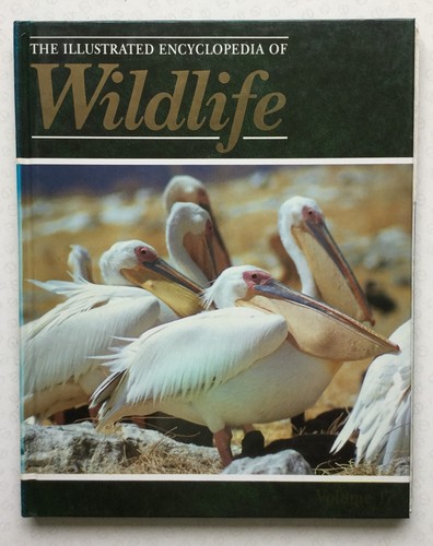 The illustrated encyclopedia - illustrated,