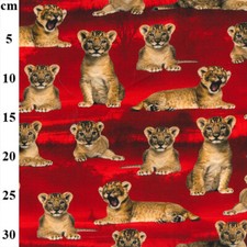 Lion Cub Jersey Fabric Jungle