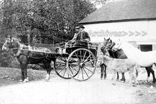 Qqf-39 Horse and Trap, Rural
