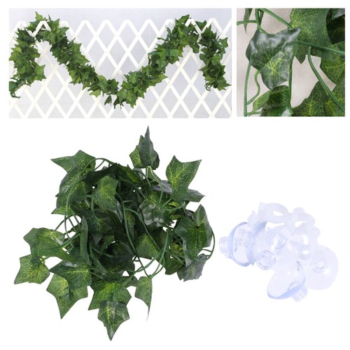Terrarium accessories - m,