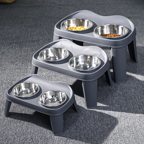 Dog food water - water, feeding